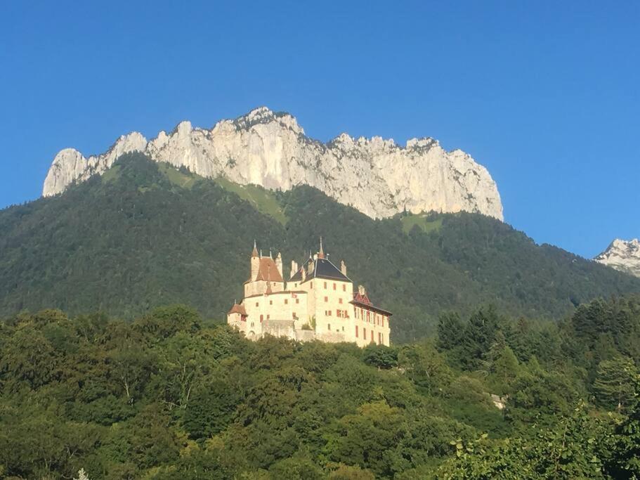 Maison 3 Chambres Au Lac D'Annecy, 30Min La Clusaz Мантон-Сен-Бернар Экстерьер фото